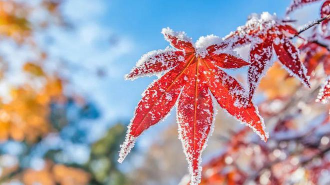 北京局地暴雪阵风8级！AG旗舰厅网站预警！(图3)